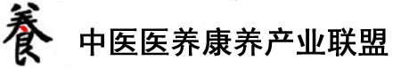 用鸡内射